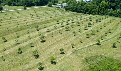Photo #4 of Old NC Hwy 86N, Yanceyville, NC 32.1 acres