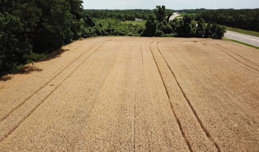 Photo #16 of Off Caratoke Highway, Jarvisburg, NC 7.8 acres