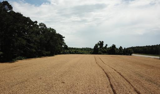 Photo #20 of Off Caratoke Highway, Jarvisburg, NC 7.8 acres
