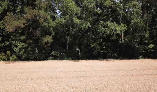 Photo #21 of Off Caratoke Highway, Jarvisburg, NC 7.8 acres