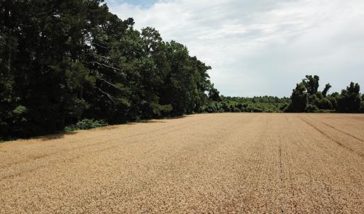 Photo #22 of Off Caratoke Highway, Jarvisburg, NC 7.8 acres