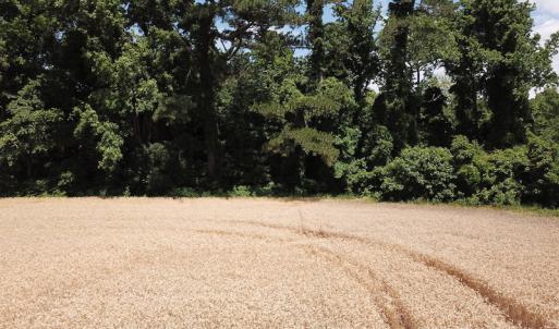 Photo #24 of Off Caratoke Highway, Jarvisburg, NC 7.8 acres