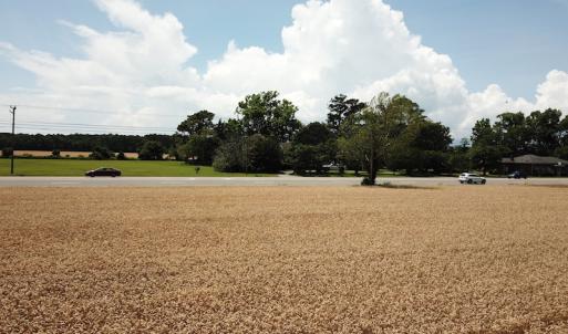 Photo #25 of Off Caratoke Highway, Jarvisburg, NC 7.8 acres