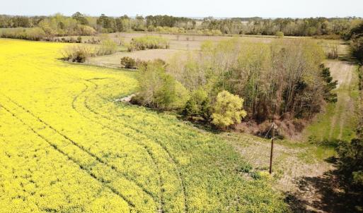 Photo #3 of Off Forbes Road, Jarvisburg, NC 123.8 acres