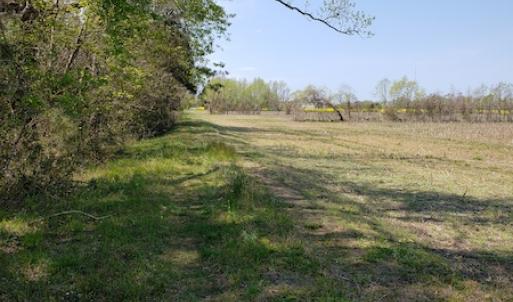 Photo #10 of Off Forbes Road, Jarvisburg, NC 123.8 acres