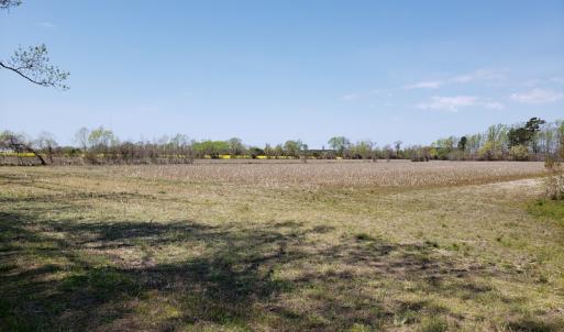 Photo #11 of Off Forbes Road, Jarvisburg, NC 123.8 acres