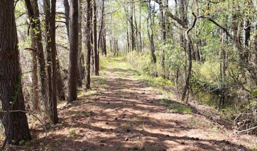 Photo #28 of Off Forbes Road, Jarvisburg, NC 123.8 acres