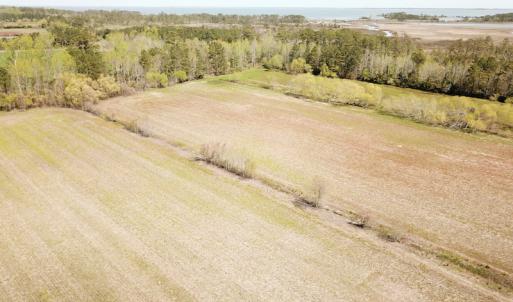 Photo #31 of Off Forbes Road, Jarvisburg, NC 123.8 acres