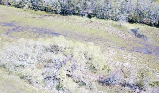 Photo #33 of Off Forbes Road, Jarvisburg, NC 123.8 acres