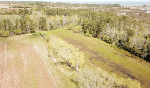 Photo #34 of Off Forbes Road, Jarvisburg, NC 123.8 acres
