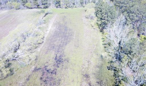 Photo #35 of Off Forbes Road, Jarvisburg, NC 123.8 acres
