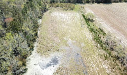 Photo #36 of Off Forbes Road, Jarvisburg, NC 123.8 acres