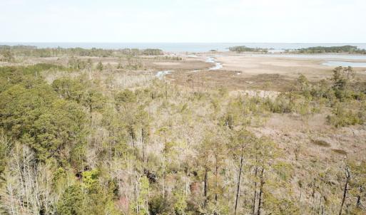 Photo #39 of Off Forbes Road, Jarvisburg, NC 123.8 acres