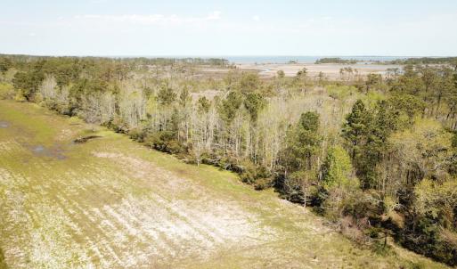 Photo #46 of Off Forbes Road, Jarvisburg, NC 123.8 acres
