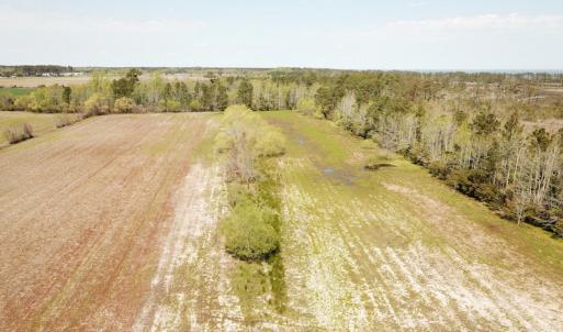 Photo #47 of Off Forbes Road, Jarvisburg, NC 123.8 acres