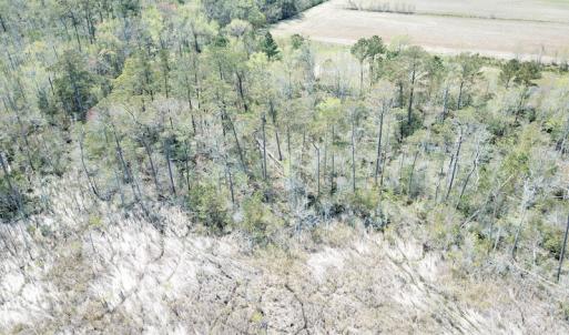 Photo #55 of Off Forbes Road, Jarvisburg, NC 123.8 acres