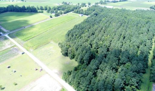 Photo #2 of SOLD property in O-Weyerhaeuser Road, Ayden, NC 18.3 acres