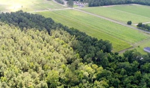 Photo #3 of SOLD property in O-Weyerhaeuser Road, Ayden, NC 18.3 acres