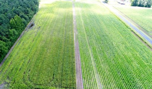 Photo #5 of SOLD property in O-Weyerhaeuser Road, Ayden, NC 18.3 acres
