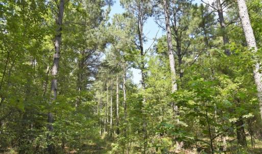 Photo #10 of SOLD property in O-Weyerhaeuser Road, Ayden, NC 18.3 acres