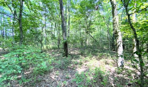 Photo #2 of SOLD property in 9020 Joyner's Bridge Rd, Windsor, VA 21.0 acres
