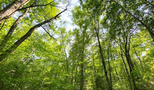 Photo #3 of SOLD property in 9020 Joyner's Bridge Rd, Windsor, VA 21.0 acres