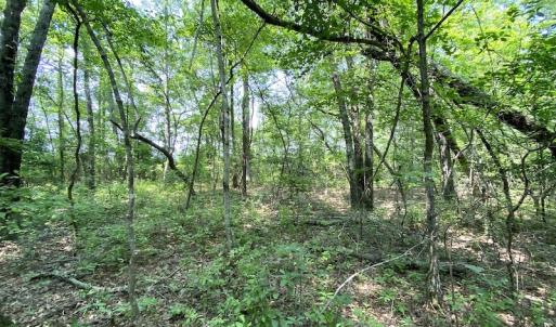 Photo #4 of SOLD property in 9020 Joyner's Bridge Rd, Windsor, VA 21.0 acres
