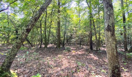 Photo #8 of SOLD property in 9020 Joyner's Bridge Rd, Windsor, VA 21.0 acres