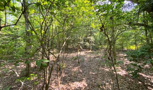 Photo #9 of SOLD property in 9020 Joyner's Bridge Rd, Windsor, VA 21.0 acres