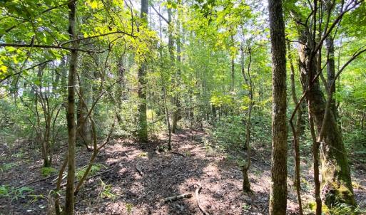Photo #11 of SOLD property in 9020 Joyner's Bridge Rd, Windsor, VA 21.0 acres