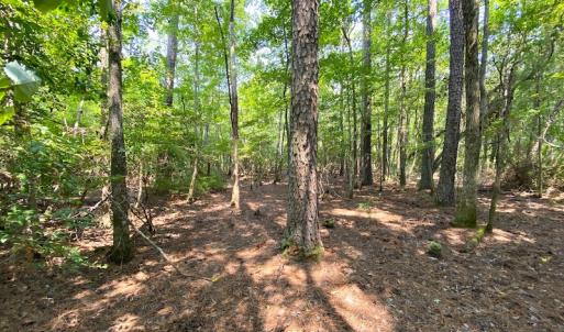 Photo #12 of SOLD property in 9020 Joyner's Bridge Rd, Windsor, VA 21.0 acres