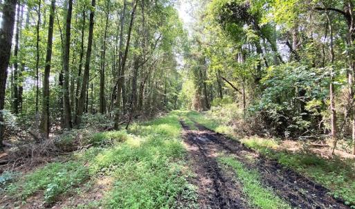 Photo #14 of SOLD property in 9020 Joyner's Bridge Rd, Windsor, VA 21.0 acres