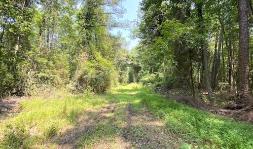 Photo #15 of SOLD property in 9020 Joyner's Bridge Rd, Windsor, VA 21.0 acres