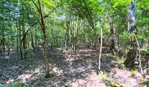 Photo #16 of SOLD property in 9020 Joyner's Bridge Rd, Windsor, VA 21.0 acres