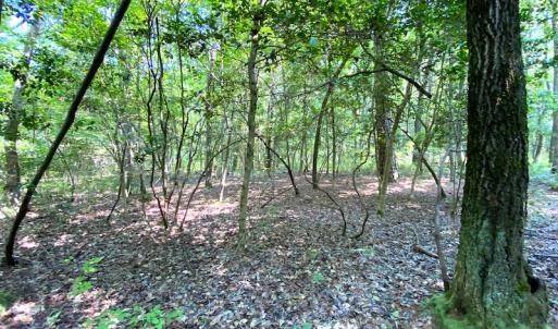 Photo #17 of SOLD property in 9020 Joyner's Bridge Rd, Windsor, VA 21.0 acres