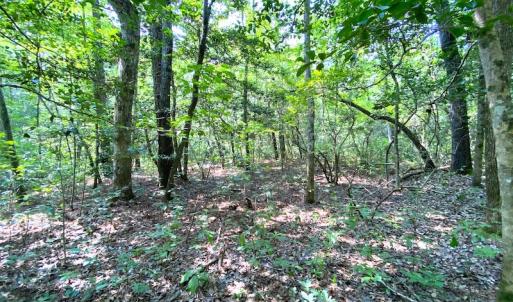 Photo #21 of SOLD property in 9020 Joyner's Bridge Rd, Windsor, VA 21.0 acres