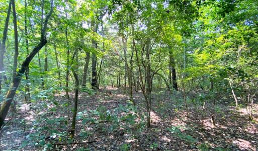 Photo #22 of SOLD property in 9020 Joyner's Bridge Rd, Windsor, VA 21.0 acres
