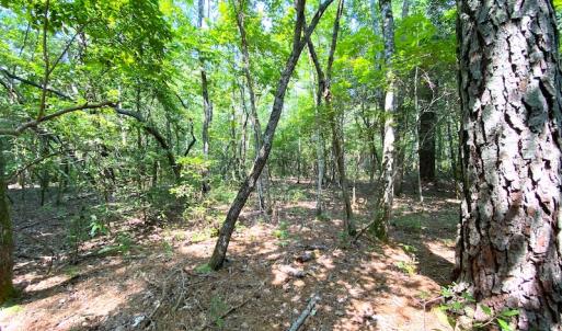 Photo #23 of SOLD property in 9020 Joyner's Bridge Rd, Windsor, VA 21.0 acres