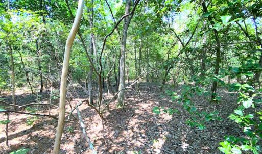 Photo #24 of SOLD property in 9020 Joyner's Bridge Rd, Windsor, VA 21.0 acres