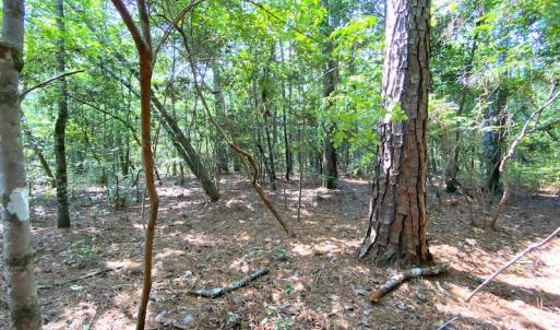 Photo #25 of SOLD property in 9020 Joyner's Bridge Rd, Windsor, VA 21.0 acres