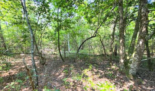 Photo #26 of SOLD property in 9020 Joyner's Bridge Rd, Windsor, VA 21.0 acres
