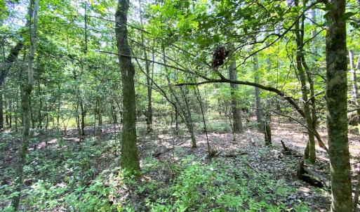 Photo #27 of SOLD property in 9020 Joyner's Bridge Rd, Windsor, VA 21.0 acres