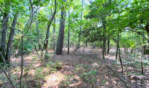 Photo #28 of SOLD property in 9020 Joyner's Bridge Rd, Windsor, VA 21.0 acres