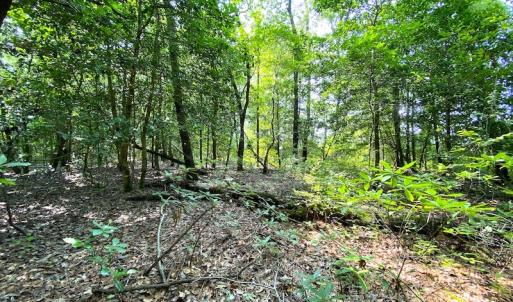 Photo #29 of SOLD property in 9020 Joyner's Bridge Rd, Windsor, VA 21.0 acres