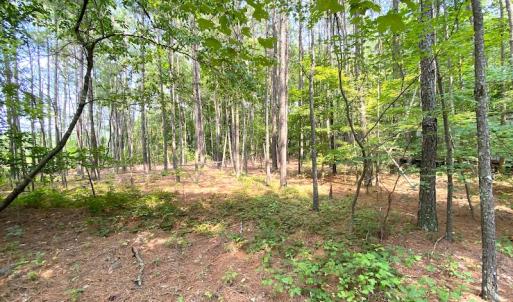 Photo #30 of SOLD property in 9020 Joyner's Bridge Rd, Windsor, VA 21.0 acres