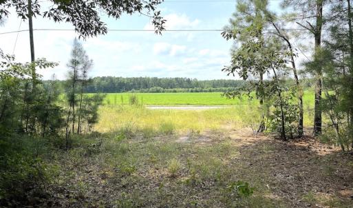 Photo #31 of SOLD property in 9020 Joyner's Bridge Rd, Windsor, VA 21.0 acres