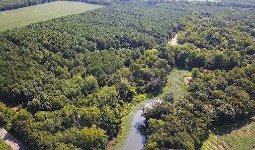 Photo #2 of SOLD property in Off Jackie Lane, Cape Charles, VA 46.0 acres