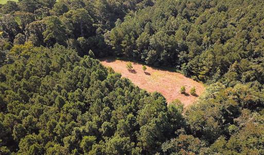 Photo #3 of SOLD property in Off Jackie Lane, Cape Charles, VA 46.0 acres