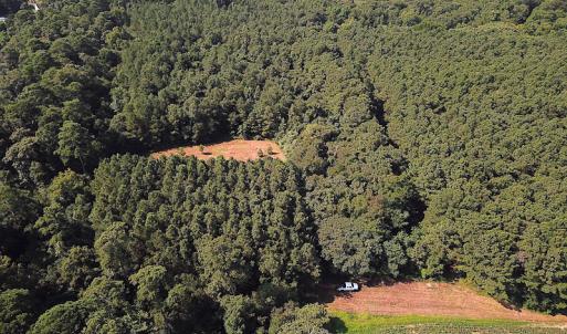 Photo #4 of SOLD property in Off Jackie Lane, Cape Charles, VA 46.0 acres