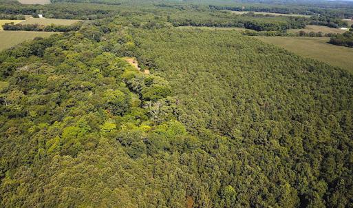 Photo #5 of SOLD property in Off Jackie Lane, Cape Charles, VA 46.0 acres